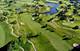 1871 Admiral Unit 89, Glenview, IL 60026