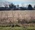 15355 W 159th, Lockport, IL 60441