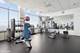 1000 N Lake Shore Unit 48B, Chicago, IL 60611