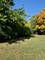 LOT 10/11 Maple, Downers Grove, IL 60515
