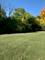 LOT 10/11 Maple, Downers Grove, IL 60515