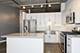 1000 W Adams Unit 507, Chicago, IL 60607