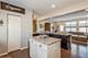 3767 Gansett, Elgin, IL 60124