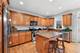 249 Box Car, Naperville, IL 60540