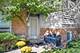 601 Romona, Wilmette, IL 60091