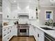 843 W Buckingham Unit 3W, Chicago, IL 60657