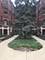 908 Oakton Unit 1, Evanston, IL 60202