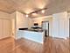 1845 S Michigan Unit 1009, Chicago, IL 60616