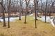 LOT 1   2S242 Essex, Wheaton, IL 60189