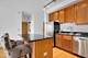 1529 S State Unit 13C, Chicago, IL 60605