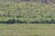 Lot3 S Rt 52, Manhattan, IL 60442