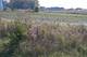 Lot8 and Lot9 Us Rte 6 Ridge, Channahon, IL 60410