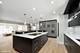 828 S Delphia, Park Ridge, IL 60068