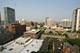 1221 N Dearborn Unit 1402-S, Chicago, IL 60610