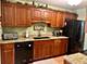 994 Tennessee, Elk Grove Village, IL 60007