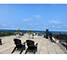 4950 N Marine Unit 603, Chicago, IL 60640