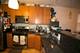 1738 W Altgeld Unit 2R, Chicago, IL 60614