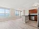 474 N Lake Shore Unit 2806, Chicago, IL 60611