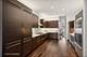 176 N Harbor Unit 176, Chicago, IL 60601