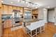 6005 N Kimball Unit 203, Chicago, IL 60659