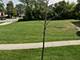 1751 Greenwood, Glenview, IL 60026