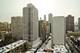 21 W Goethe Unit 16K, Chicago, IL 60610