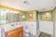 10732 S Sawyer, Chicago, IL 60655