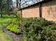 406 Greenleaf, Wilmette, IL 60091