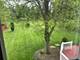 2309 Cottonwwod, Elgin, IL 60123