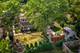 1616 Apache, Naperville, IL 60563
