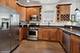 1028 W Newport Unit 2, Chicago, IL 60657