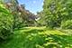 195 E Onwentsia, Lake Forest, IL 60045