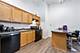 633 S Plymouth Unit 305, Chicago, IL 60605