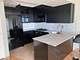 1720 Maple Unit 1770, Evanston, IL 60201