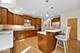 312 Juliana, Bloomingdale, IL 60108