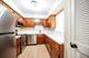 1982 Cherry Unit 15B, Northbrook, IL 60062