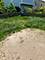21753 W Kentwood, Plainfield, IL 60544