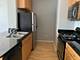 1255 S State Unit 1218, Chicago, IL 60605