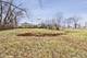 8305 W Church, Niles, IL 60714