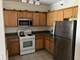 470 W Mahogany Unit 407, Palatine, IL 60067