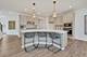 24528 W Alexis, Plainfield, IL 60585