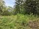 Lot 4 E Mundhank, South Barrington, IL 60010