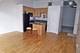 1528 S Wabash Unit 304, Chicago, IL 60605