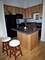 1528 S Wabash Unit 304, Chicago, IL 60605