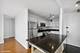 444 W Fullerton Unit 1709, Chicago, IL 60614