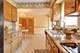 509 Parkwood, Park Ridge, IL 60068