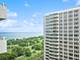 4250 N Marine Unit 2423, Chicago, IL 60613