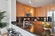 250 E Pearson Unit 1104, Chicago, IL 60611