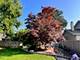 1006 N Delphia, Park Ridge, IL 60068