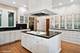 420 N East, Oak Park, IL 60302